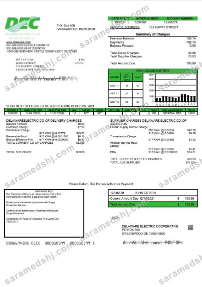 USA Delaware Electric Co-op utility bill template in Word and PDF format